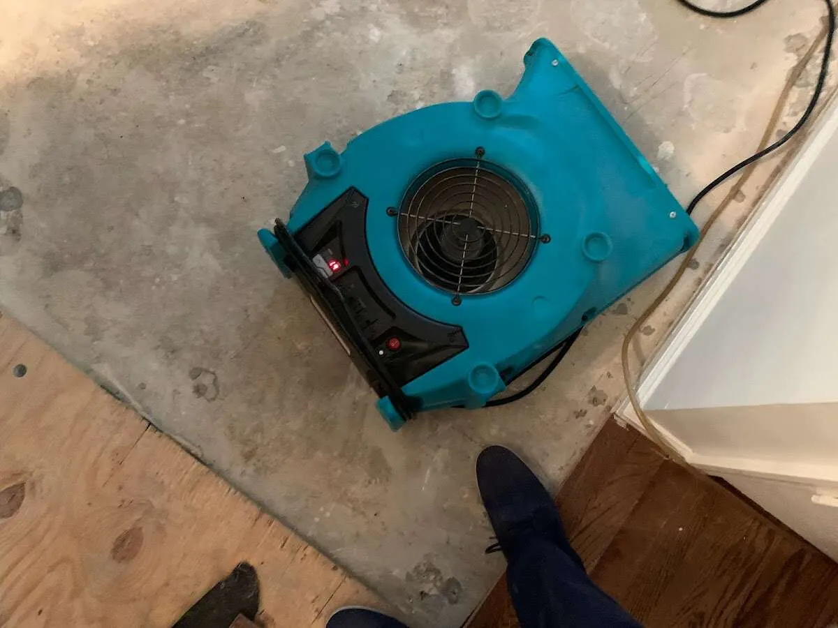 Air mover drying subfloor during Commercial Water Damage Restoration in Guttenberg